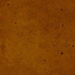 Professional Fast Drying Concrete Stain - Easy to use! Ten Second Color Acetone Dye Concrete Stain - Hazelnut 32oz