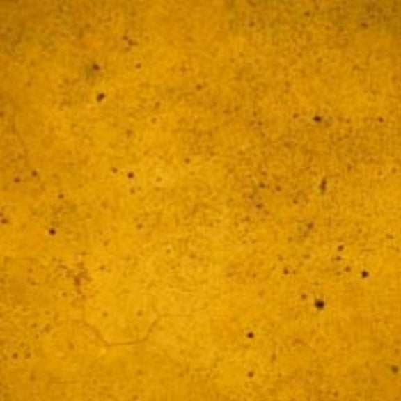 Professional Fast Drying Concrete Stain - Easy to use! Ten Second Color Acetone Dye Concrete Stain - Montana Wheat 32oz