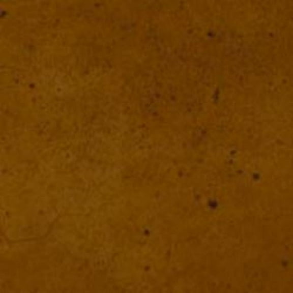 Professional Fast Drying Concrete Stain - Easy to use! Ten Second Color Acetone Dye Concrete Stain - Tuscan Brown 32oz