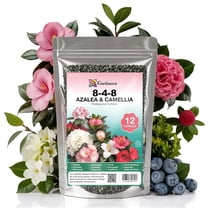 Professional Fertilizer for Azaleas, Camellias, Hydrangeas, Blueberries, Gardenias, Magnolia Trees, Evergreens and Rhododendrons - Ideal Iron-Rich Plant Food [12 OZ]