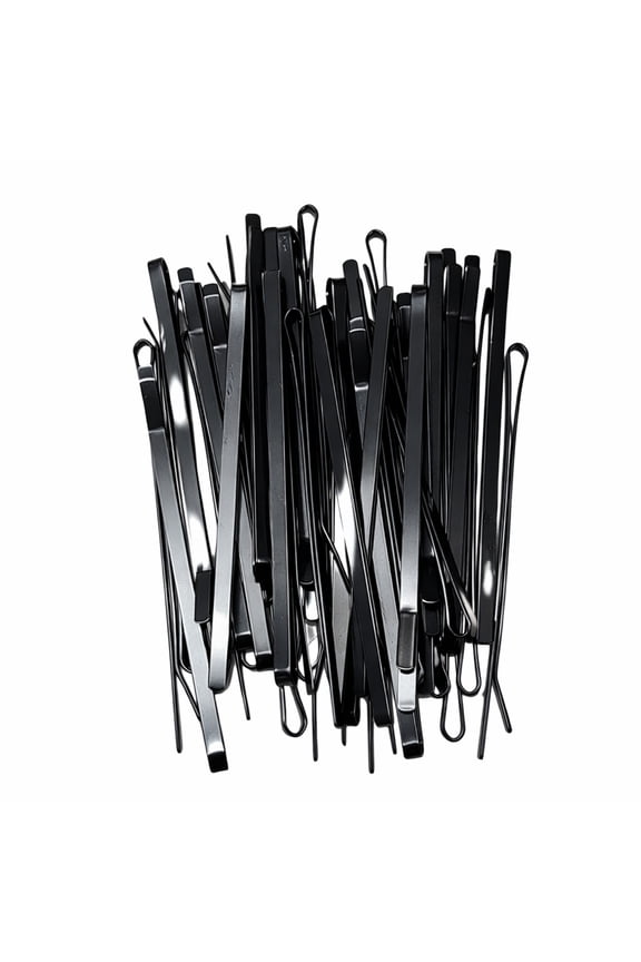 Professional Flat Metal Styling Bobby Pins in Storage Case - 40pc Pack