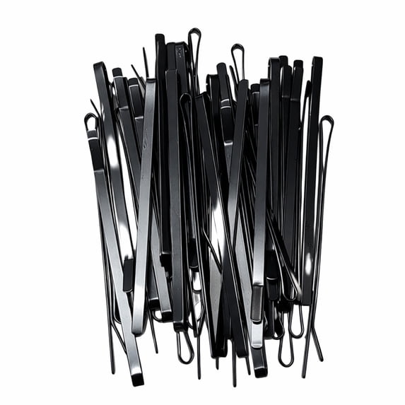 Professional Flat Metal Styling Bobby Pins in Storage Case - 40pc Pack (Silver)