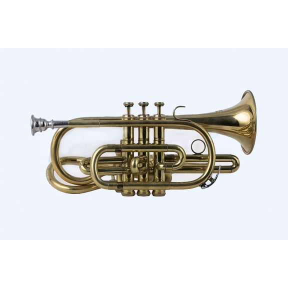 Professional Flugel Horn 3 Valve Brass Bb Flugelhorn with Mouthpiece & Case Smooth Valve Action, Rich Warm Tone for Band, Orchestra & Jazz, Gold