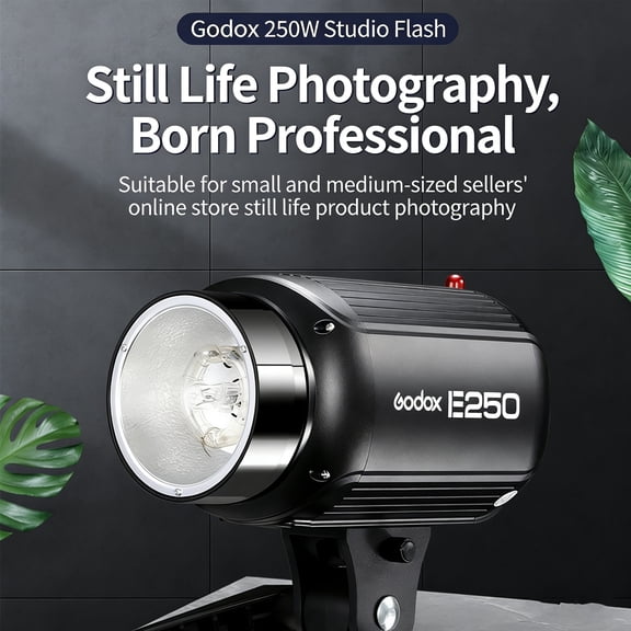 Professional Godox E250 250Ws Studio Flash Light with 75W Modeling Lamp, 9-Level Dimming & Precise Power Control, Ideal for Studio Portraits, Commercial Product & E-Commerce Photography