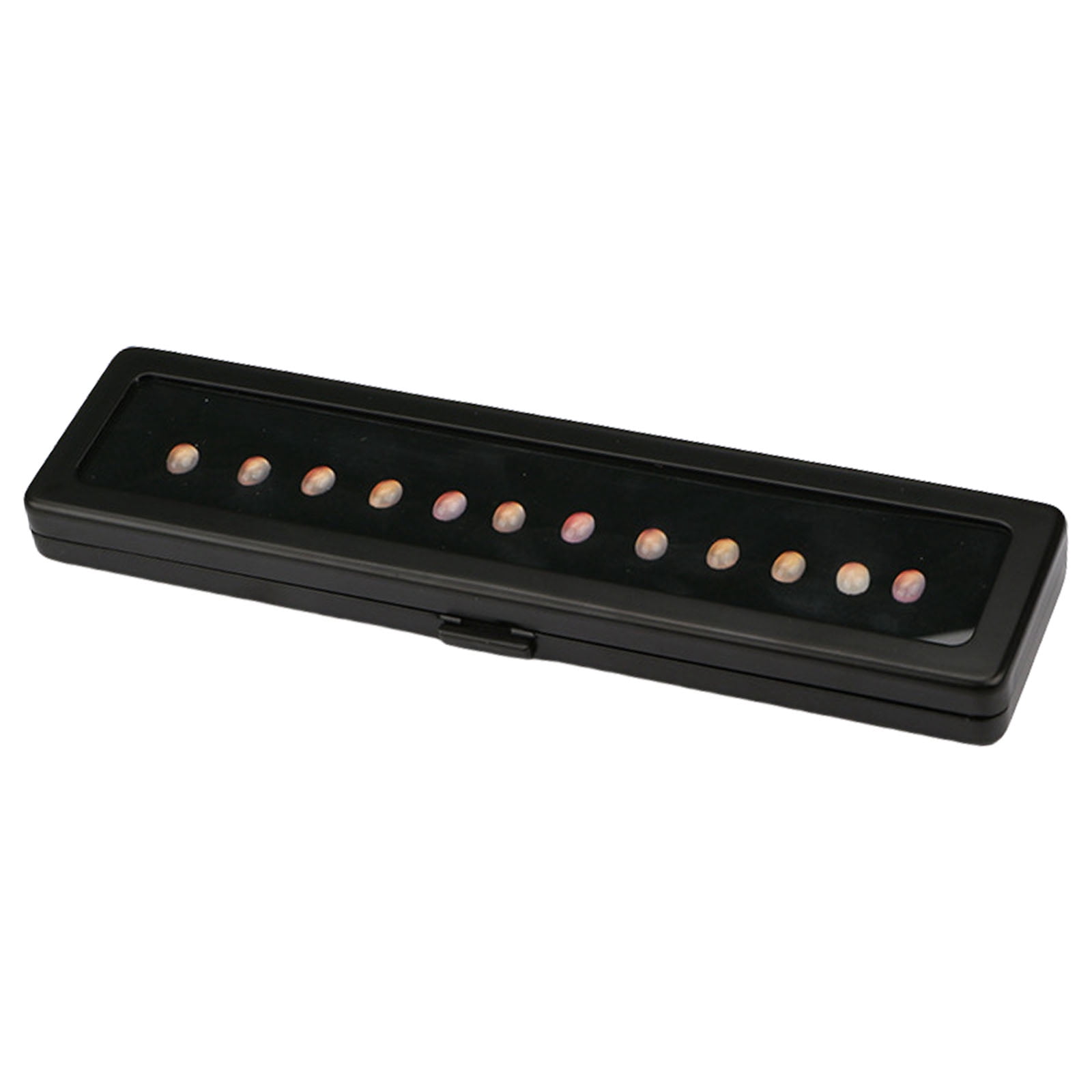 Shell Viewing Box Professional Grade Gemstones Display Box with Double Access Foam Layers ...