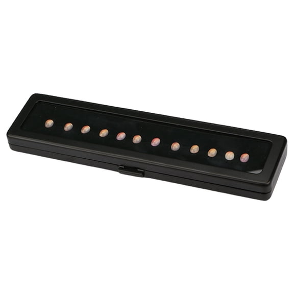 Professional Grade Gemstones Display Box with Double Access Foam Layers and Clear Viewing Window for Appraisers