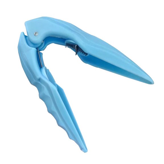 Professional Grades Chestnut Cutter With Secure Grips Design Perfect For Elderly Users And Delicate Storage Solution