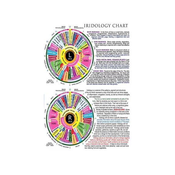 Professional Iridology Chart and Eye Analysis Poster Holistic Health Study Reference Guide Educational Wall Art for School and Clinic Decor