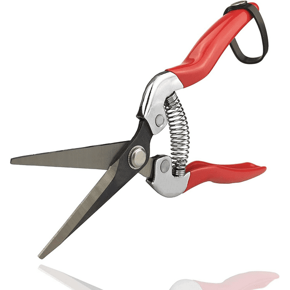 Professional Micro-Tip Pruning Snip (GPPS-1008), Small Garden Hand Pruner & shears For Arranging Flowers, Trimming Plants & Hydroponic Herbs, And Harvesting Fruits & Vegetables.