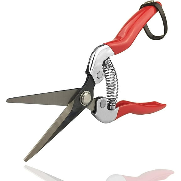 Professional Micro-Tip Pruning Snip (GPPS-1008), Small Garden Hand Pruner & shears For Arranging Flowers, Trimming Plants & Hydroponic Herbs, And Harvesting Fruits & Vegetables.