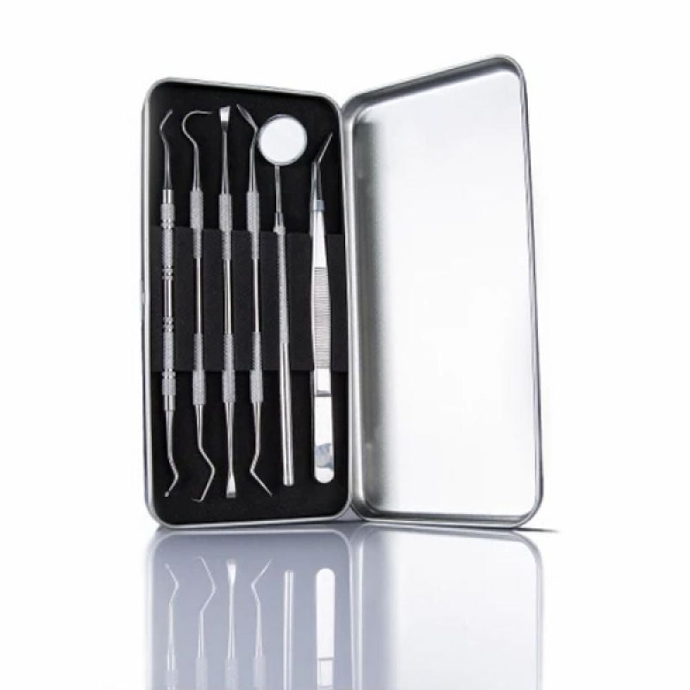 Professional Oral Hygiene Accessories, Calculus Remover & Plaque Scraper, Portable Storage Case for At-home Dental Care and Pet Dental Care, Travel-friendly Design (Sleek Silver)