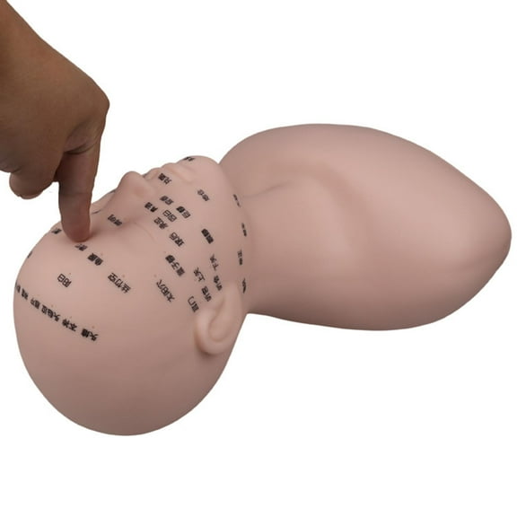 Professional Practice Training Mannequin Reusable Makeup Manikin with Shoulder Washable for Cosmetology Artists Beginners Beauty Salon