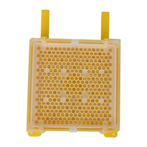 Professional Queen Rearing System Kit with 20 Cages and 115 Cell Cups - Bee Breeding Supplies for Beekeeping Maintenance