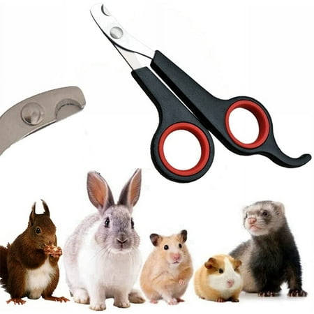 Professional Rabbit Nail Clippers, Stainless Steel Claw Trimmer for Small Animals