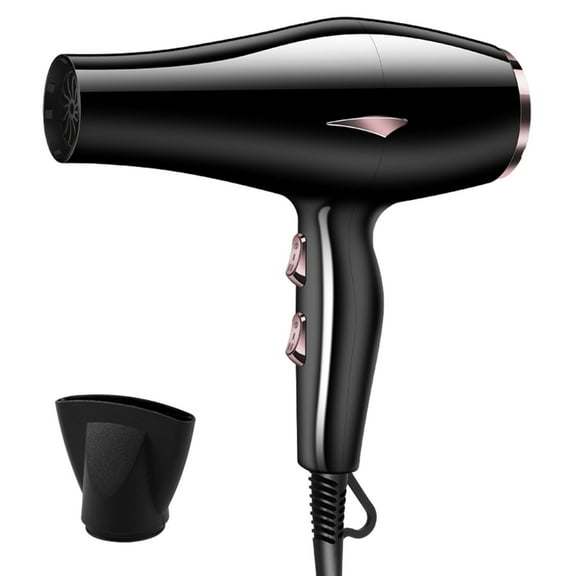 Professional Salon Hair Dryer for Normal and Curly Hair, 2200W Ionic Blow Dryer with Diffuser,Blue Light AC Motor Fast Drying Hair Dryers