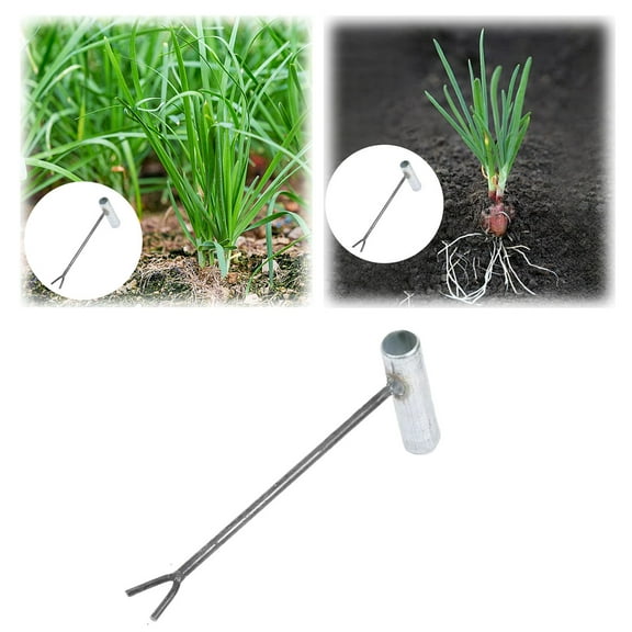 Professional Seedling Transplanter - Heavy Duty Garden Planting Tool for Scallions, Sweet Potatoes & Seedlings, Durable Plugger Planter for Effortless Transplanting