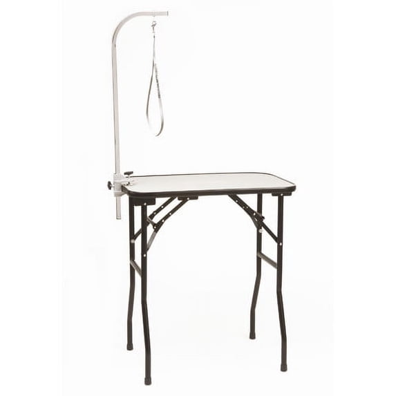 Professional 36Inch Table W/Aac & Loop