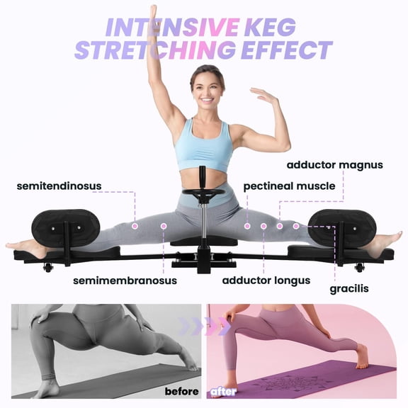 Professional Split Stretcher, pro Adjustable Leg Stretching Training Machine with Silent Wheels, 0-180 Degrees Steel Frame Leg Spreader Machine with Hand Wheel for Fitness Dancers (Black)