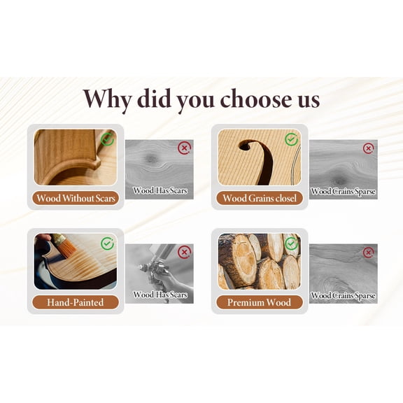 Professional Student Violin 4/4 Full Size Solid Wood Acoustic Fiddle Beginner Kit with Case Bow Rosin Shoulder Rest for Teens Adults Learning Instrument