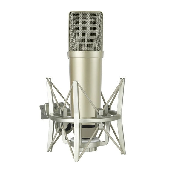 Professional Studio Recording Condenser Microphones With Metal Diaphragm For Clear Sound Captures