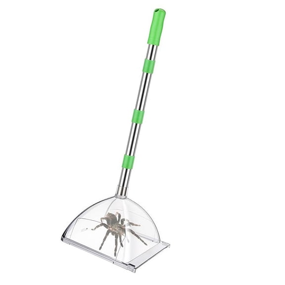 Professional Wasps Captures Device 32 Inch Adjustable Handle For Spiders Removal Home Camping