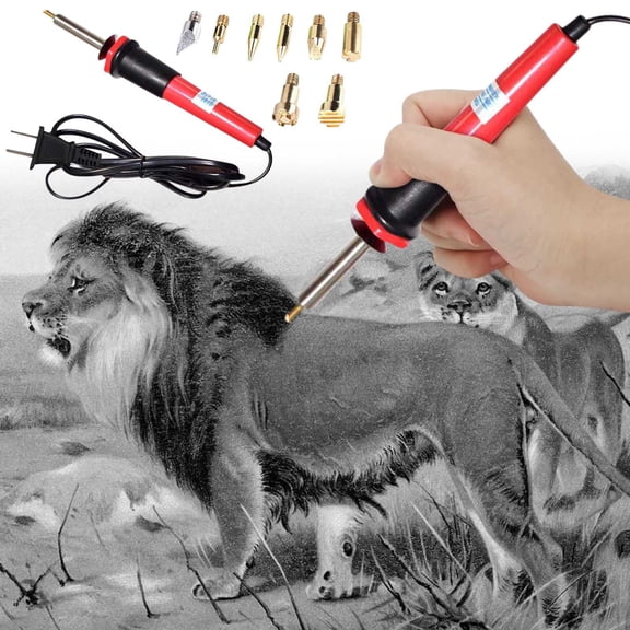 Professional Wood Burning Pyrography Pen Tool, 30W Multi-Functional Soldering Iron Station Kit, Craft DIY Carving Pen for Wood Leather Embossing