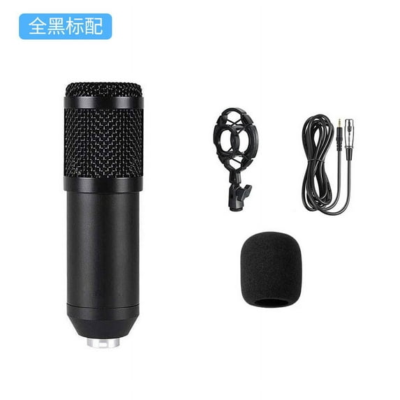 Professional recording studio computer recording microphone condenser recording studio computer recording equipment (single microphone)