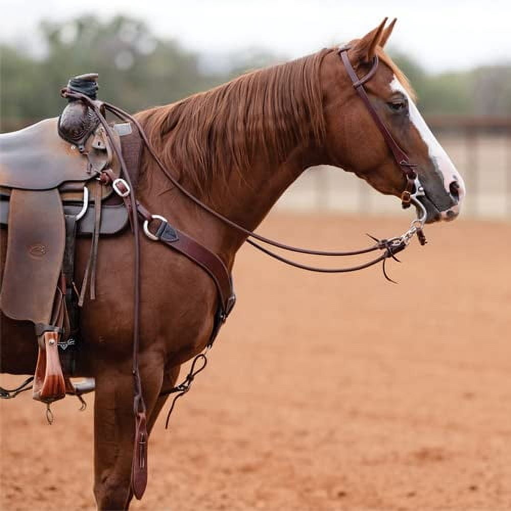 Soft Ranch Professional's Choice Ranch Collection | 54