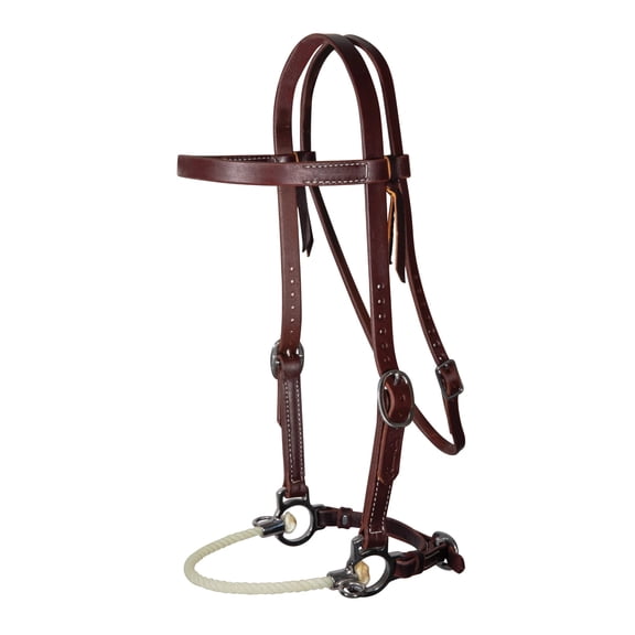 Professional's Choice Ranch Heavy Oil Side Pull Lariat - Durable Western Leather Training Headstall