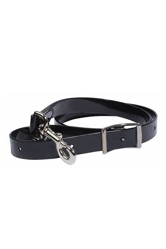 Professionals Choice 1in Biothane Tie Down Strap