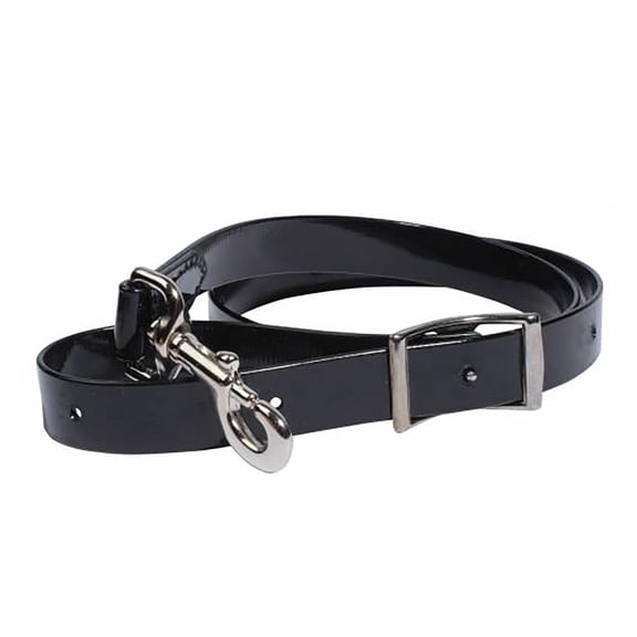 Professionals Choice 1in Biothane Tie Down Strap