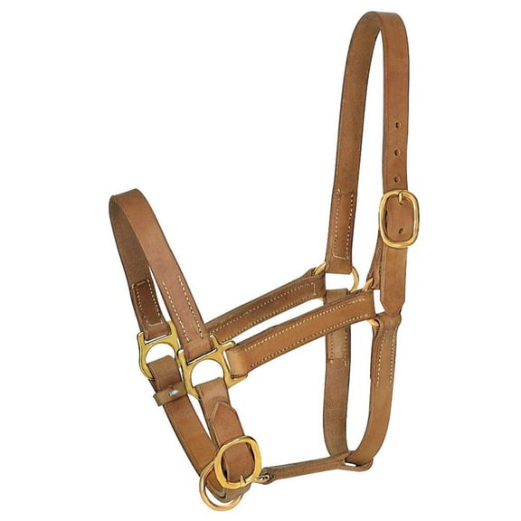 Professionals Choice 1in Large Horse Harness Leather Turn Out