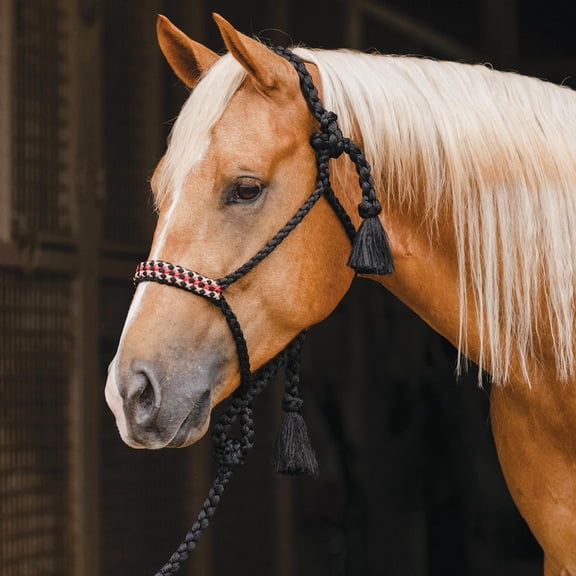 Professionals Choice  Cowboy Braided Halter with 10ft Lead Black/Tan OS