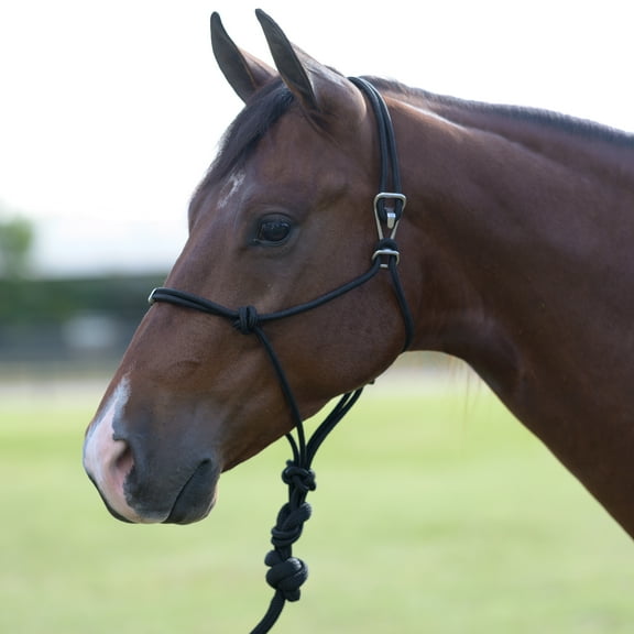 Professionals Choice Easy On Rope Halter Black HORSE