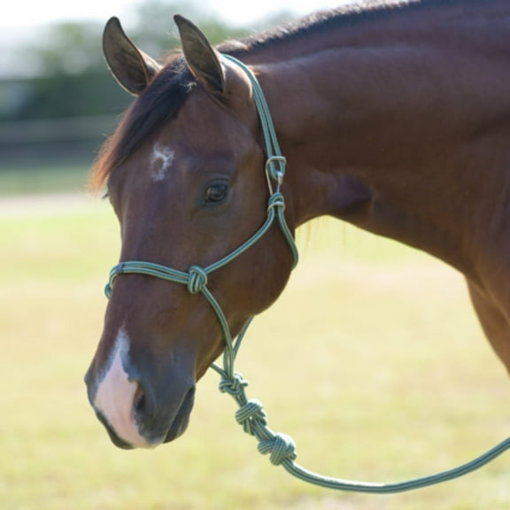 Professionals Choice Easy On Rope Halter Emerald HORSE