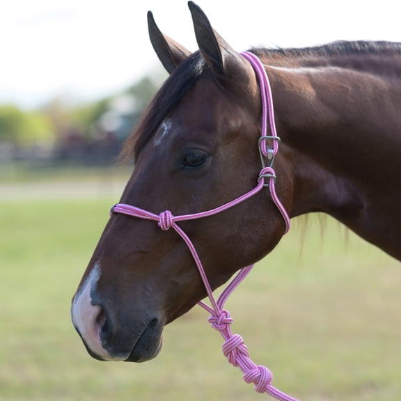 Professionals Choice Easy On Rope Halter Pink HORSE