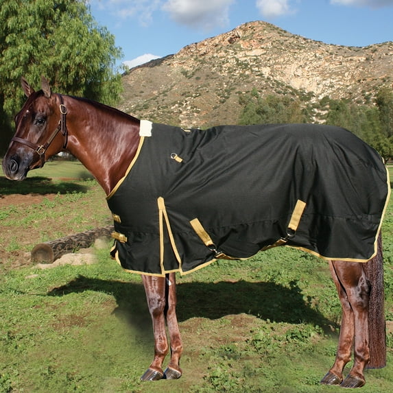Professionals Choice Equisential Black Horse 600D Winter Blanket Black 74
