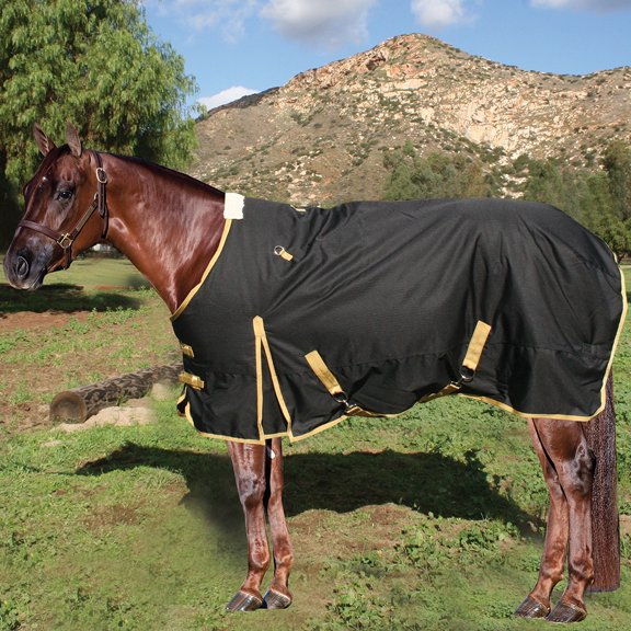 Professionals Choice Equisential Black Horse 600D Winter Blanket Black 74
