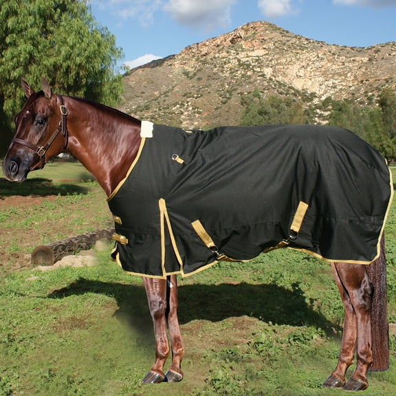 Professionals Choice Equisential Black Horse 600D Winter Blanket Black 76