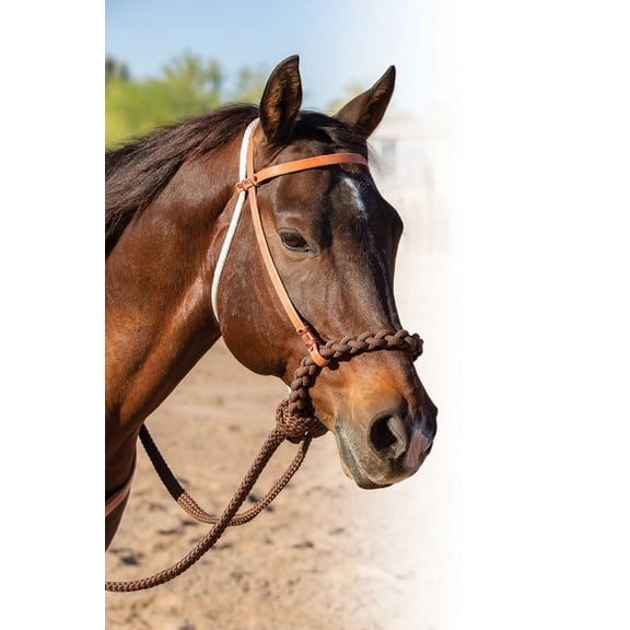 Professionals Choice Loping Hackamore HORSE