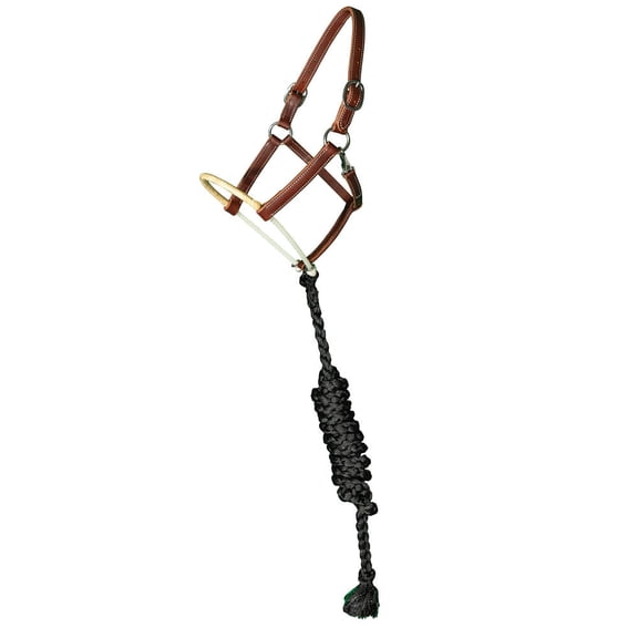 Professionals Choice Rawhide Wrapped Single Rope Noseband Lea