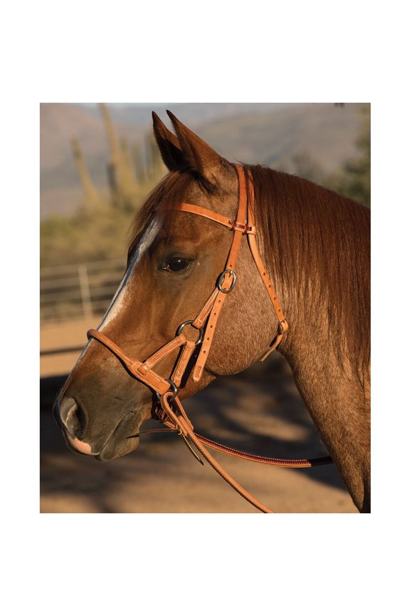 Professionals Choice Side Pull withRound Leather Nose