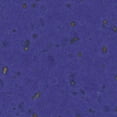 thumbnail image 1 of Profile Design Adhesive Cork Bar Tape - Blue, 1 of 1