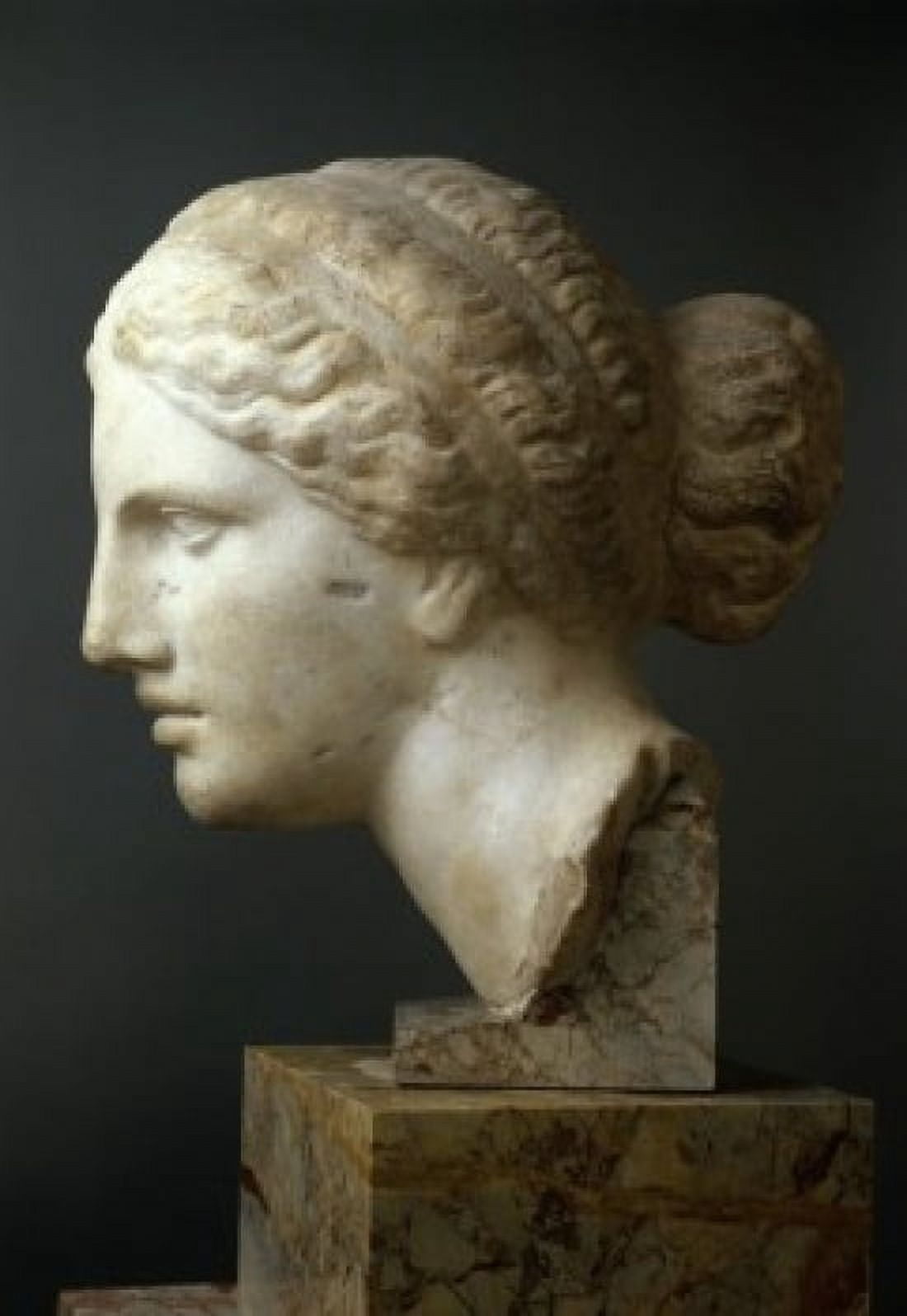 Profile Of A Womans Head Greek Art Canvas Art - (24 x 36)