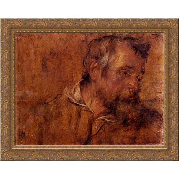 Profile Study Of A Bearded Old Man 24x20 Gold Ornate Wood Framed Canvas Art by Dyck, Sir Anthony van