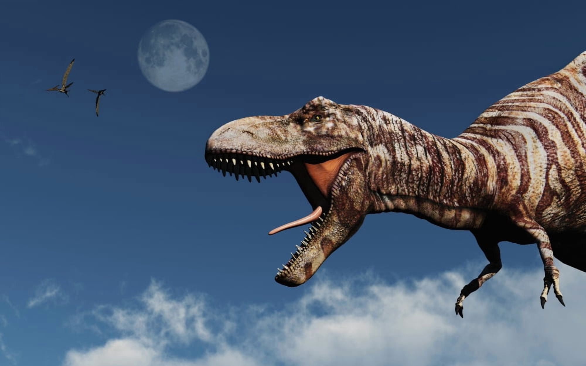 Profile of a Tyrannosaurus rex Canvas Art - Mark StevensonStocktrek Images (18 x 12)