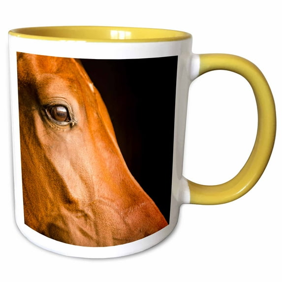 Profile of a mahogany brown horse, Lancaster County, Pennsylvania 15oz Two-Tone Yellow Mug mug-259955-13