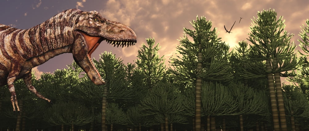 Profile view of a carnivorous Tyrannosaurus Rex Canvas Art - Mark StevensonStocktrek Images (22 x 10)