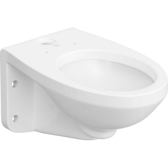 Proflo Pf1731 Elongated Wall Mount Flush Valve Toilet Bowl Only - White