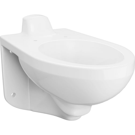 Proflo Pf1732 Gpf Toilet Bowl Only - White